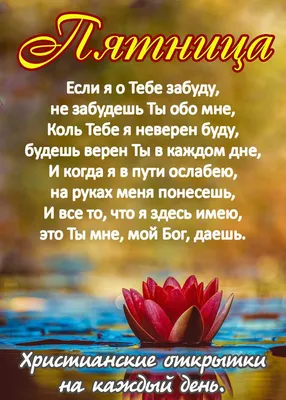 Лучшие христианские книги ⭐ Обзор книг на тематику религии