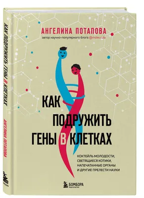 Куры в клетках стоковое фото. изображение насчитывающей цыпленок - 168722864