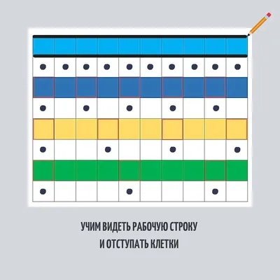 Клетки для бройлеров своими руками: 5 удобных конструкций с подробными  инструкциями изготовления АО \"Витасоль\"