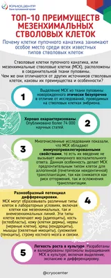 Фото обои с зелеными листьями 368x254 см Птицы в клетках (13338P8)+клей  (ID#1536311983), цена: 1200 ₴, купить на Prom.ua