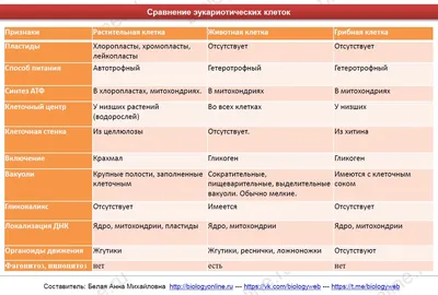 Табличка «Курить на лестничных клетках и холлах запрещается»