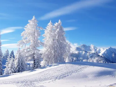 Обои Природа Зима, обои для рабочего стола, фотографии природа, зима, снег,  деревья, горы Обои для рабочего стола, скачать обои картинки заставки на рабочий  стол.