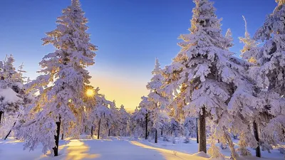Обои \"Зима и Новый год\" - настроение праздника на рабочий стол! | Святки,  Праздник, Вышитые крестиком открытки