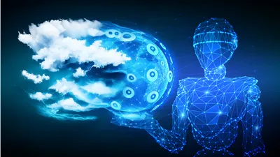 Напрягите глаза: найдите голубей среди какаду за 30 секунд - Hi-Tech Mail.ru