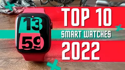Напрягите глаза: найдите голубей среди какаду за 30 секунд - Hi-Tech Mail.ru