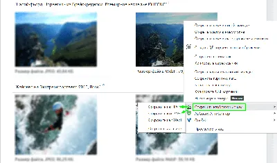 https://m.pln24.ru/society/507741.html