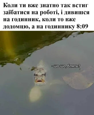 Шоколад Каждый день десертный черный пористый 120г ❤️ доставка на дом от  магазина Zakaz.ua