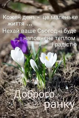 ᐉ Календарь настенный «Свято кожен день. Календар Українська кухня» 2024 •  Купить в Киеве, Украине • Лучшая цена в Эпицентр К