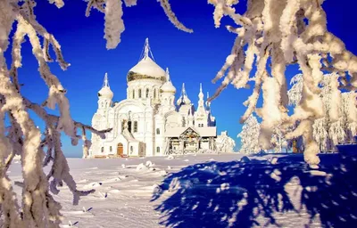 Открытки с Сочельником 18 января: красивые, блестящие и необычные картинки  и поздравления к празднику - МК Новосибирск