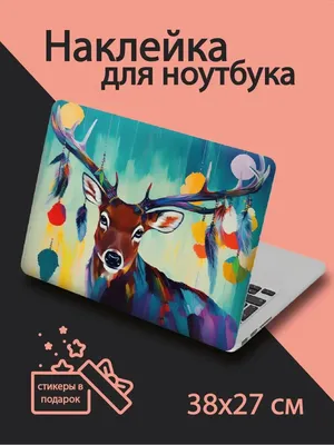 Крышка матрицы 13N1-0BA0P11 для ноутбука Asus. Корпусные детали для  ноутбуков в ExtraParts