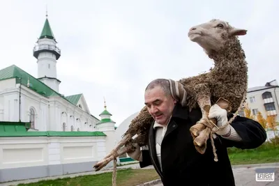 Құрбан айт қабыл болсын