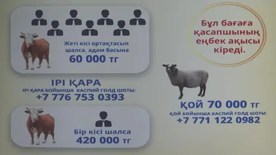 Уважаемые жаркаинцы! Дорогие земляки! От чистого сердца поздравляю вас со  священным для мусульман праздником Курбан айт!