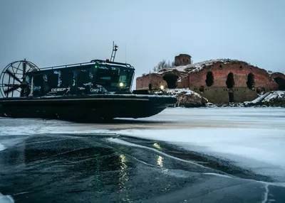 Цветы во льду - 68 фото