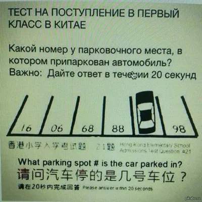 Загадка с туристами в лесу