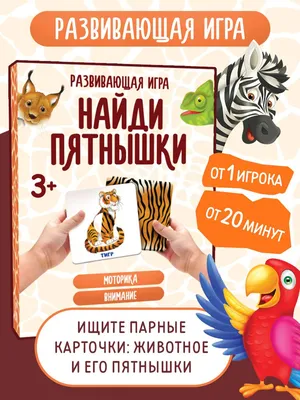 Наш Лис🦊 придумал для вас новую задачку на логику и внимательность🔥 ⠀  Получилось найти ответ? | Instagram