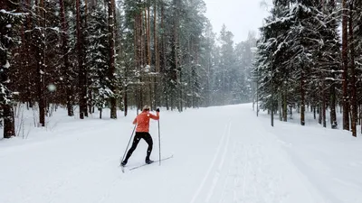 Горнолыжный спорт — Википедия