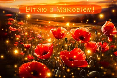 С праздником Маковея! — BOOKитека