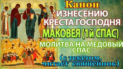 Харьковчанкам следует готовить магический букет - Харьков Vgorode.ua