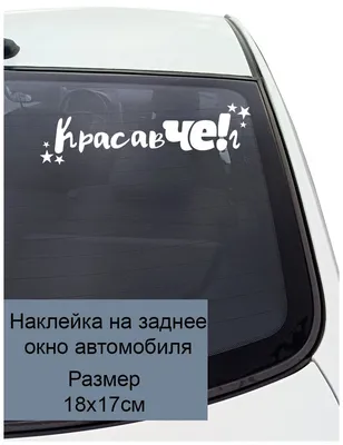 CS-1830# наклейки на авто Саня всегда прав водонепроницаемые наклейки на  машину наклейка для авто автонаклейка стикер этикеты винила стайлинга  автомобилей украшения на бампере автомобиля заднее стекло | AliExpress