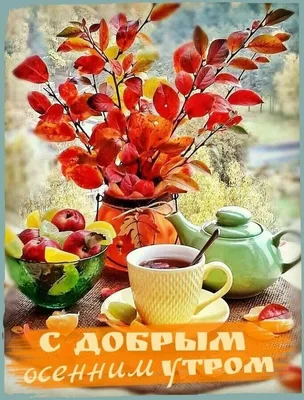 X 上的 boris：「Schönen guten morgen liebe twitter Gemeinde Wünsche euch einen  wunderschönen Samstag https://t.co/cCXhc28LDE」 / X
