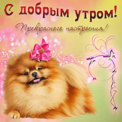 Картинка с днем рождения на немецком языке - скачать бесплатно
