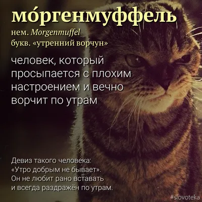 Приветствие по-немецки