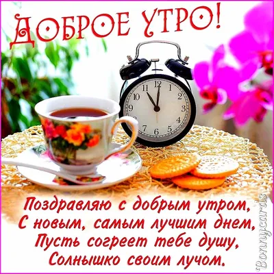 Моргенмуффель | Пикабу