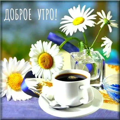 Доброе 🍃🌺🌿 Утро всем моим друзьям! | Доброе утро, Пожелания ко дню  рождения, Утренние сообщения