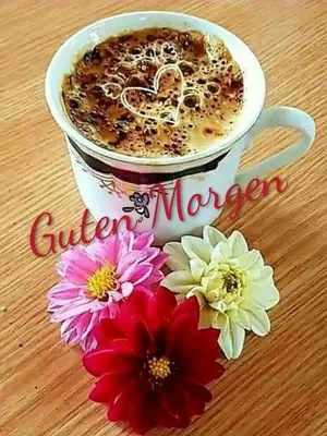 Pin von Lucy auf Guten Morgen | Guten morgen bilder sprüche, Guten morgen  romantisch, Lustige guten morgen grüße