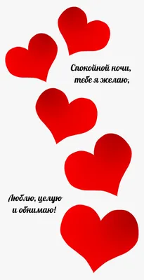 Спокойной ночи, любимый | Забавные фото, Ночь, Спокойной ночи