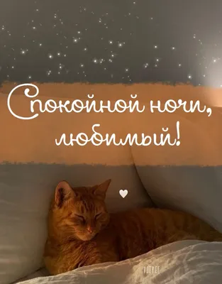 Спокойной ночи скачать бесплатно, страница 241