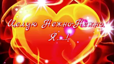 любимыймуж #пожеланиеспокойнойночи | TikTok