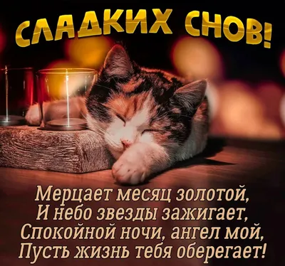 Картинки С Доброй Ночи Мужчине Любимому – Telegraph