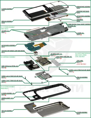 Trendsetter: Nokia 6700 Slide | Latest News | The Hindu
