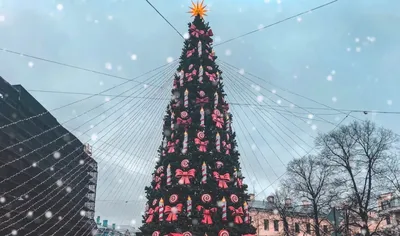Беседа на тему \"Пусть ёлка новогодняя нам радость принесёт\" | Муниципальное  бюджетное дошкольное образовательное учреждение «Детский сад №17» города  Чебоксары Чувашской Республики