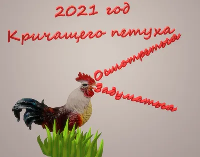 Как встречать год Петуха 2017, что приготовить, что надеть.