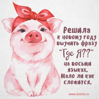 В чем встречать Новый 2019 год Свиньи? | Журнал MissLisse.
