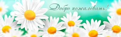 Оформление групп в ВК и на ОК: Обложка для одноклассников \"Добро пожаловать  в группу!\"