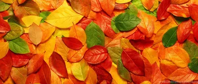 Обложка для одноклассников Весна (много фото) - treepics.ru