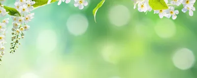 Интернет-магазин в Одноклассниках: как создать, оформить и раскрутить  группу или страницу, какие товары продавать | Calltouch.Блог