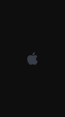 Обои с новых iPhone 14 и iPhone 14 Pro уже можно скачать на любое  устройство - Лайфхакер