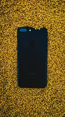 Где скачать обои с iPhone 14 и 14 Pro