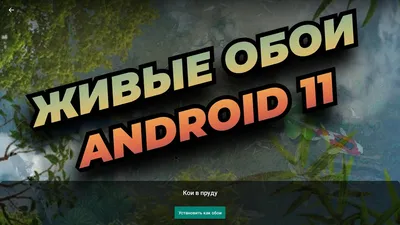 Обои Android 12, андроид, Google Я О, Google, смартфон на телефон Android,  1080x1920 картинки и фото бесплатно