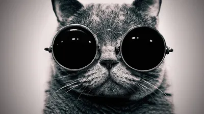 Подростковые обои на телефон для парней - фото и картинки abrakadabra.fun