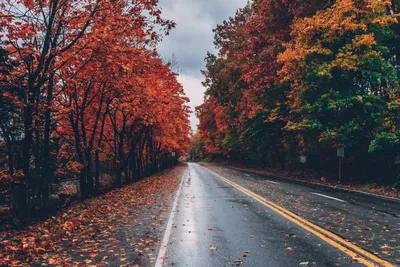 Top 10 Trending HD Wallpapers For Home Decor - Tradeindia