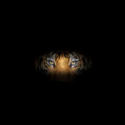 Cool HD Wallpapers - Top Best Ultra HD Cool Backgrounds