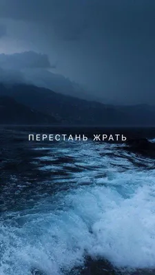 Обои на рабочий стол Надпись LOVE (любовь), на которой лежит бутон розы,  обои для рабочего стола, скачать обои, обои бесплатно