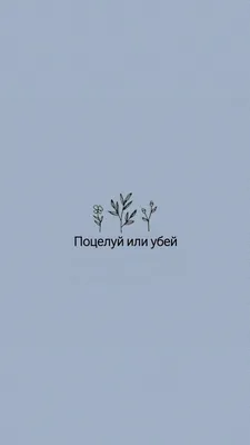 Обои для телефона | Новые цитаты, Сильные цитаты, Небольшие цитаты