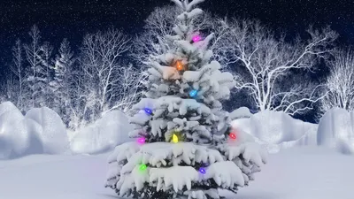 Красивые обои зима (58 фото) - 58 фото