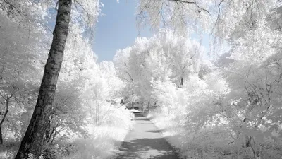 Зимние обои||Winter wallpaper|| | Самодельные плакаты, Обои, Рождественские  обои